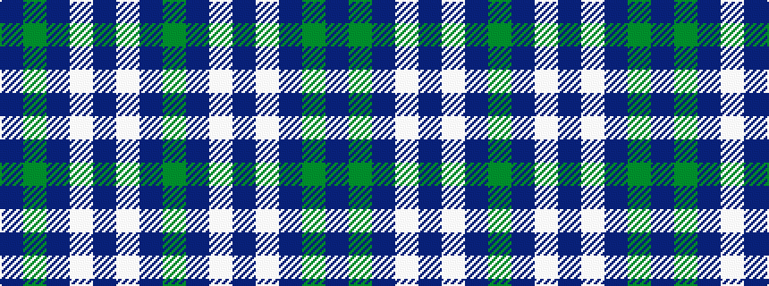 idealised woven sample of pattern BGBWBWBG