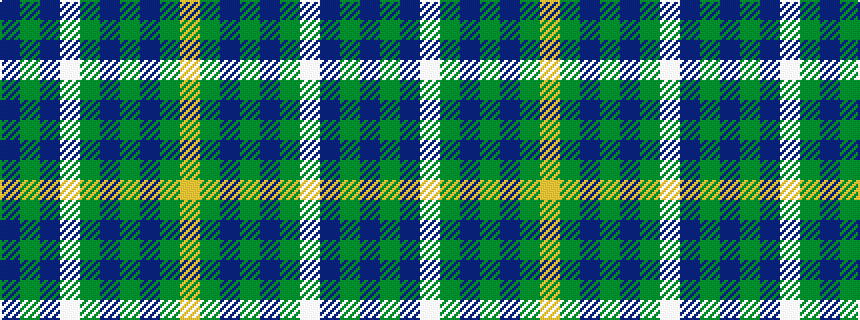idealised woven sample of pattern BGBWGBGBGY