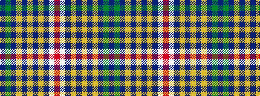 idealised woven sample of pattern BGBYBYBYBWR