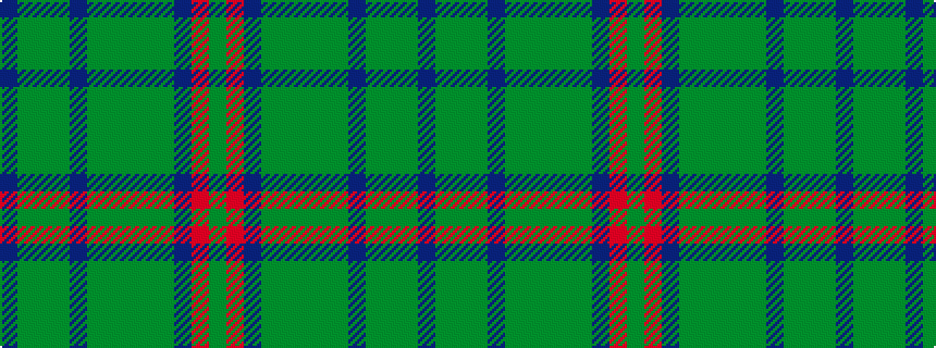 idealised woven sample of pattern BGGGBGGGGGBRG