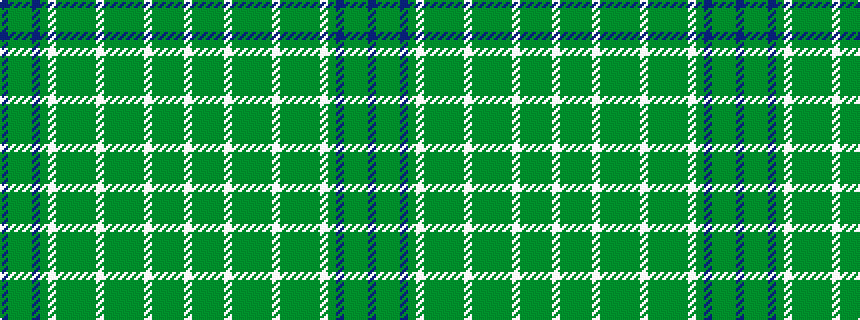 idealised woven sample of pattern BGGGBGWGGGGGWGGGGGWGGGGW