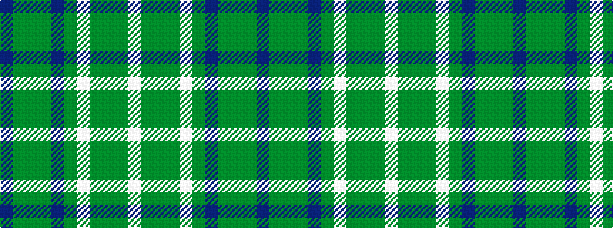 idealised woven sample of pattern BGGGBGWGGGW