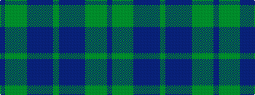 idealised woven sample of pattern BGGGGBBBBBG