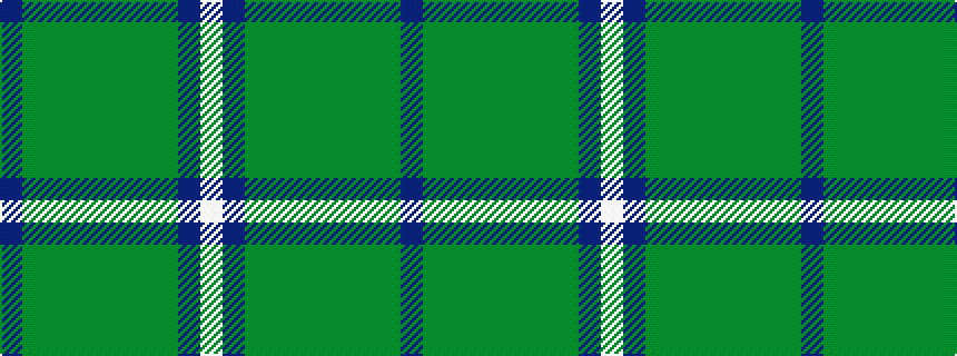 idealised woven sample of pattern BGGGGGGGBW