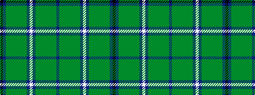 idealised woven sample of pattern BGGGGGGGBWBGGGGGGGBK