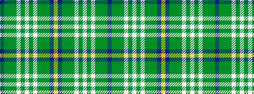 idealised woven sample of pattern BGGGWGWGWGGGBY
