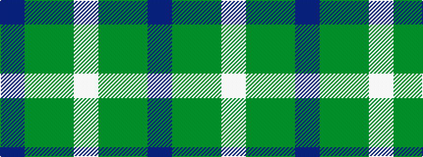 idealised woven sample of pattern BGGW