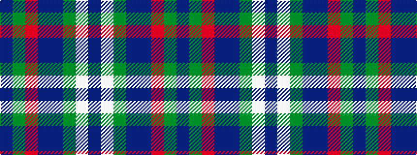 idealised woven sample of pattern BGRBBGWB