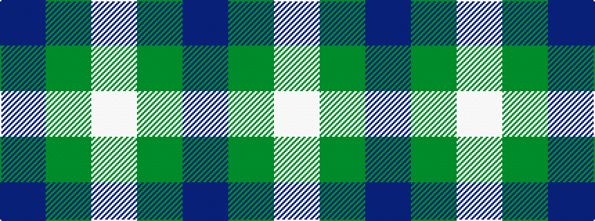 idealised woven sample of pattern BGW