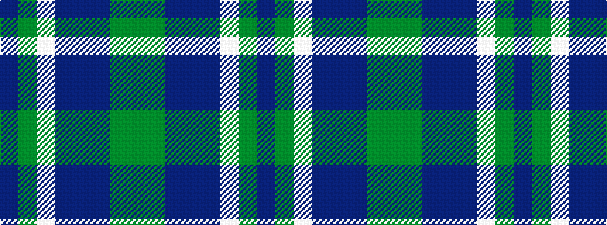 idealised woven sample of pattern BGWBBBGG