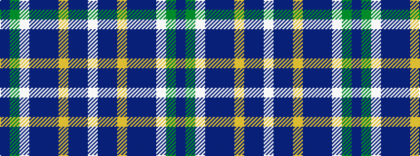 idealised woven sample of pattern BGWBBBYBBW