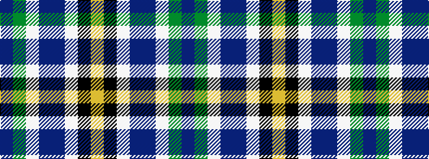 idealised woven sample of pattern BGWBBWKY