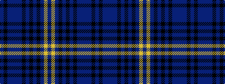 idealised woven sample of pattern BKBBBBKBKBKBYB