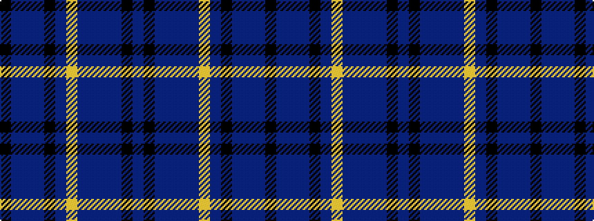 idealised woven sample of pattern BKBBBBYBKBBBK