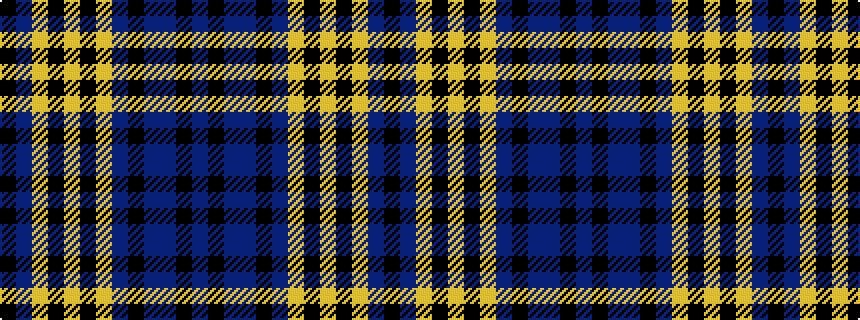 idealised woven sample of pattern BKBBKBYKYKYBK