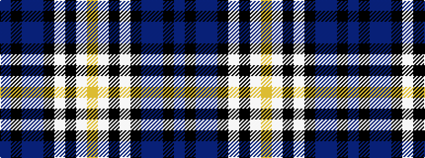 idealised woven sample of pattern BKBBKWKWY
