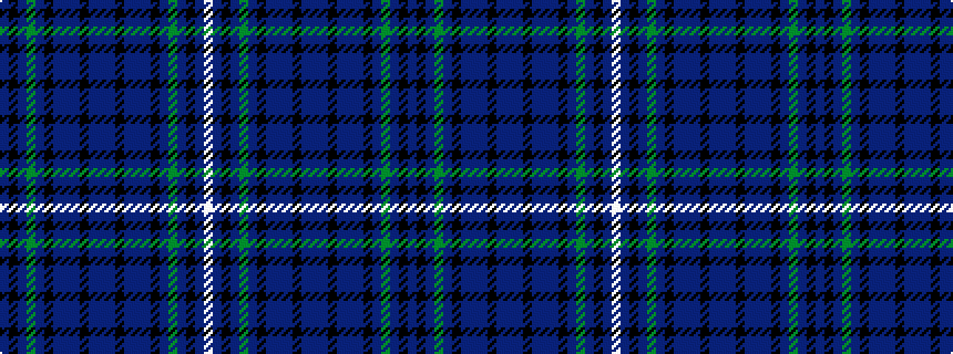 idealised woven sample of pattern BKBGBKBBBKBBBKBBBKBGBKBW