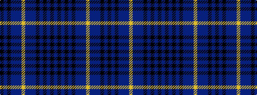 idealised woven sample of pattern BKBKBKBBBYBBBKBK
