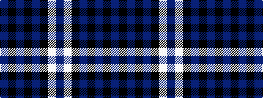 idealised woven sample of pattern BKBKBKWB