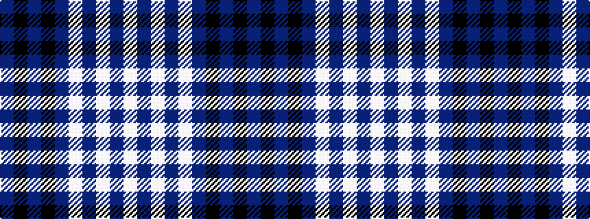 idealised woven sample of pattern BKBKBWBWBW