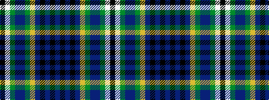 idealised woven sample of pattern BKBKBYGBBGWK