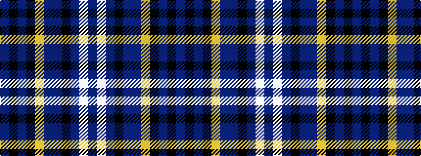 idealised woven sample of pattern BKBKYBBKBWB