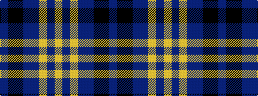idealised woven sample of pattern BKKBBYBY
