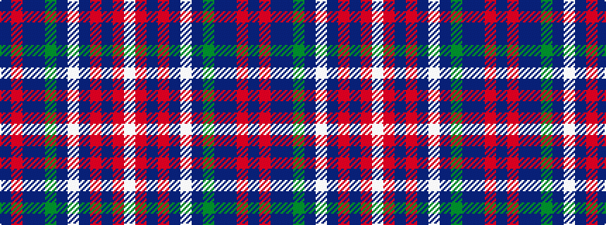 idealised woven sample of pattern BRBBGBWBRBRW