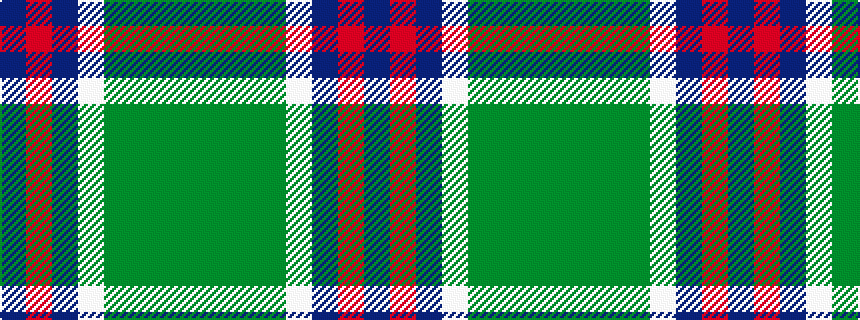 idealised woven sample of pattern BRBWGGGG