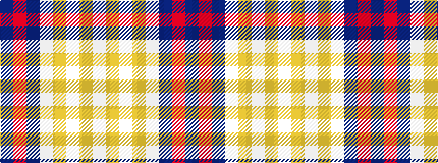 idealised woven sample of pattern BRBWYWYW