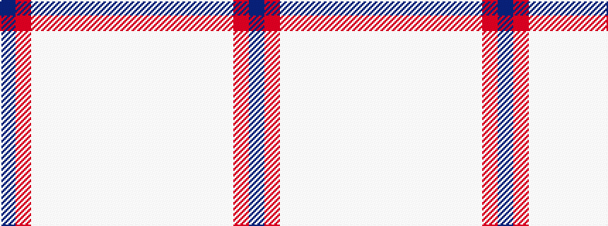 idealised woven sample of pattern BRWWWWWWW