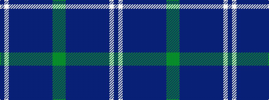 idealised woven sample of pattern BWBBBBBBBBBBGG