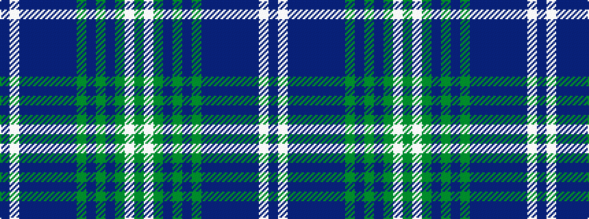 idealised woven sample of pattern BWBBBBBBGBGBGWG
