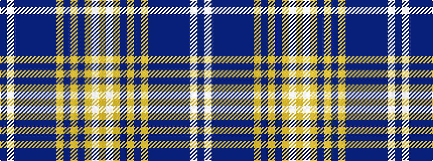 idealised woven sample of pattern BWBBBBBBYBYBYWY