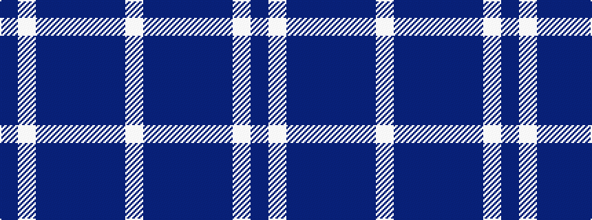 idealised woven sample of pattern BWBBBBBW