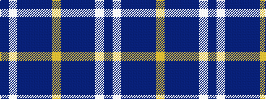 idealised woven sample of pattern BWBBBBY