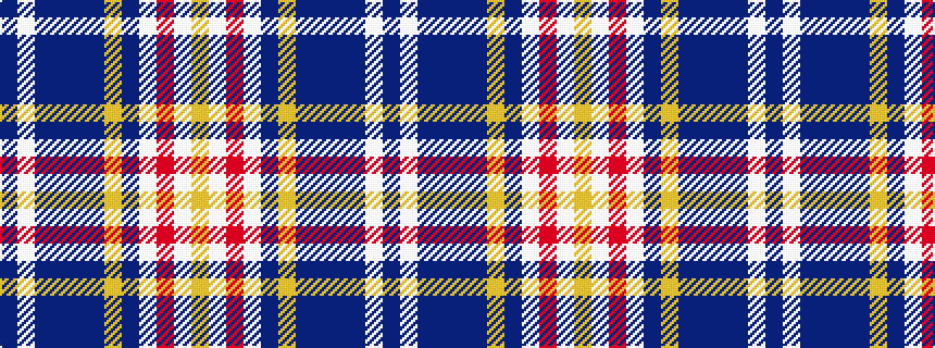 idealised woven sample of pattern BWBBBBYBWRWY