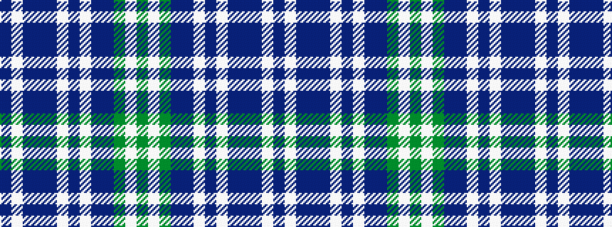 idealised woven sample of pattern BWBBBWBWBBGWG