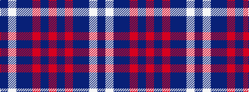 idealised woven sample of pattern BWBBRBR
