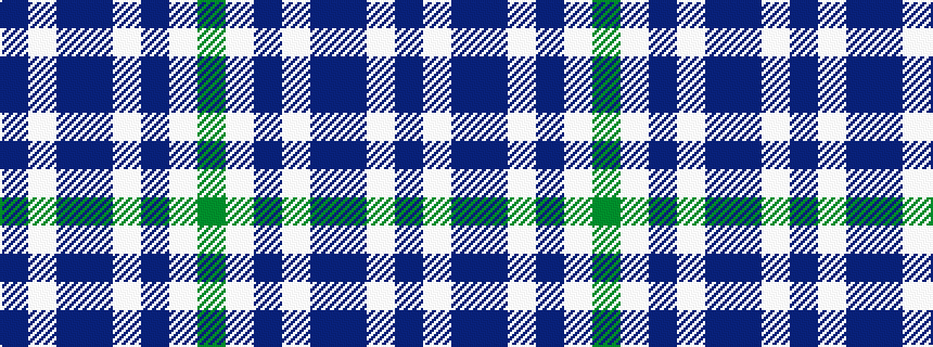idealised woven sample of pattern BWBBWBWG