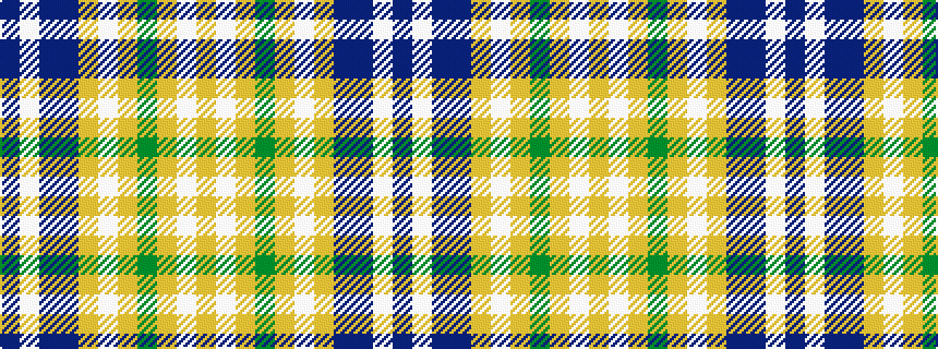 idealised woven sample of pattern BWBBYWYGYWY