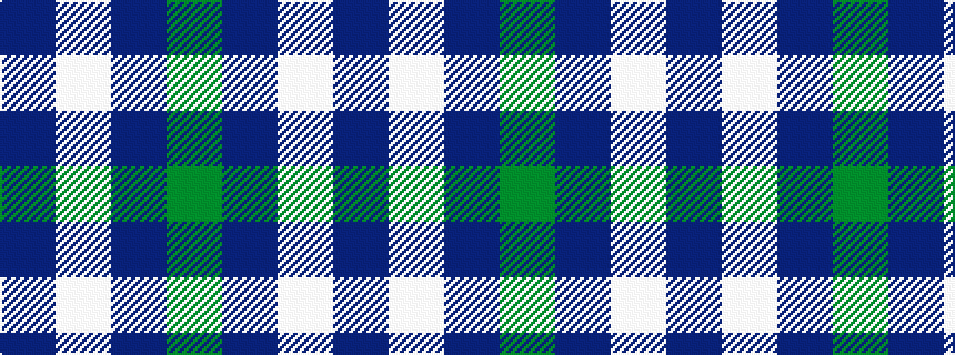 idealised woven sample of pattern BWBG