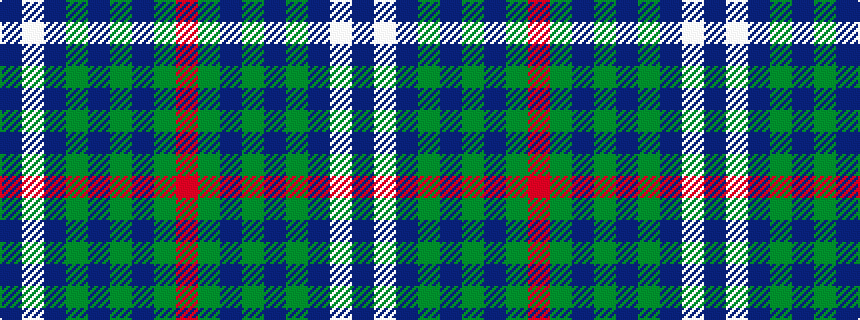 idealised woven sample of pattern BWBGBGBGR