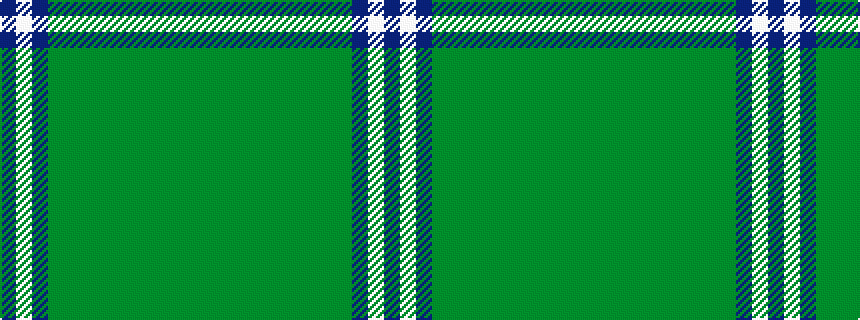 idealised woven sample of pattern BWBGGGGGGGGGG