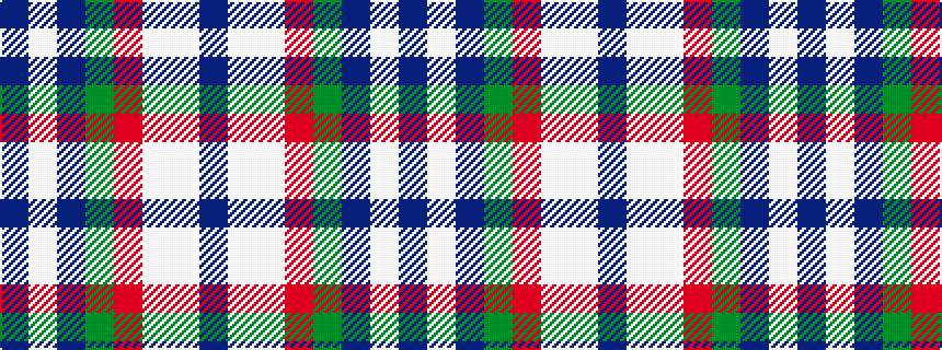 idealised woven sample of pattern BWBGRWWB