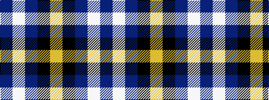 idealised woven sample of pattern BWBKY