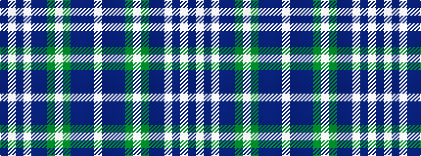 idealised woven sample of pattern BWBWBBGWGBBBW