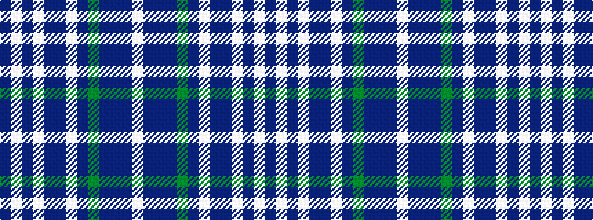idealised woven sample of pattern BWBWBBWBGBBBW