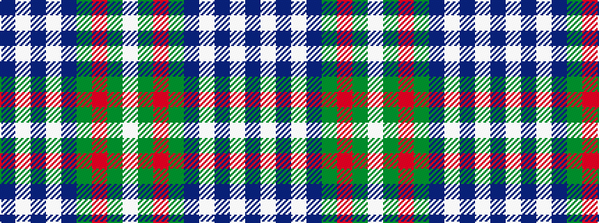 idealised woven sample of pattern BWBWBGRGW