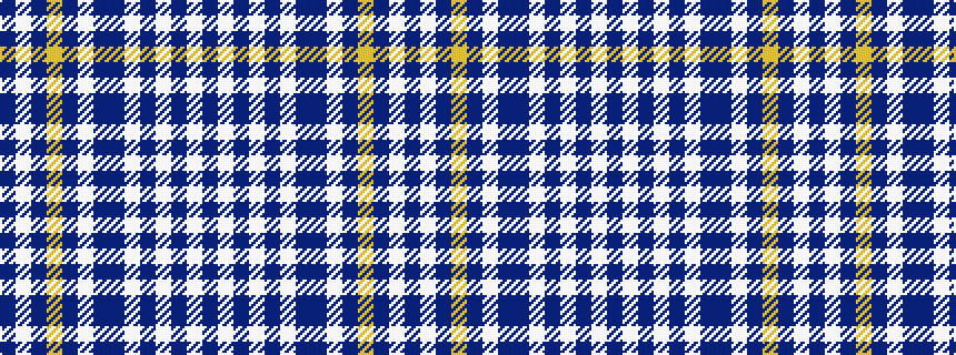 idealised woven sample of pattern BWBWBWBBWBYBWB
